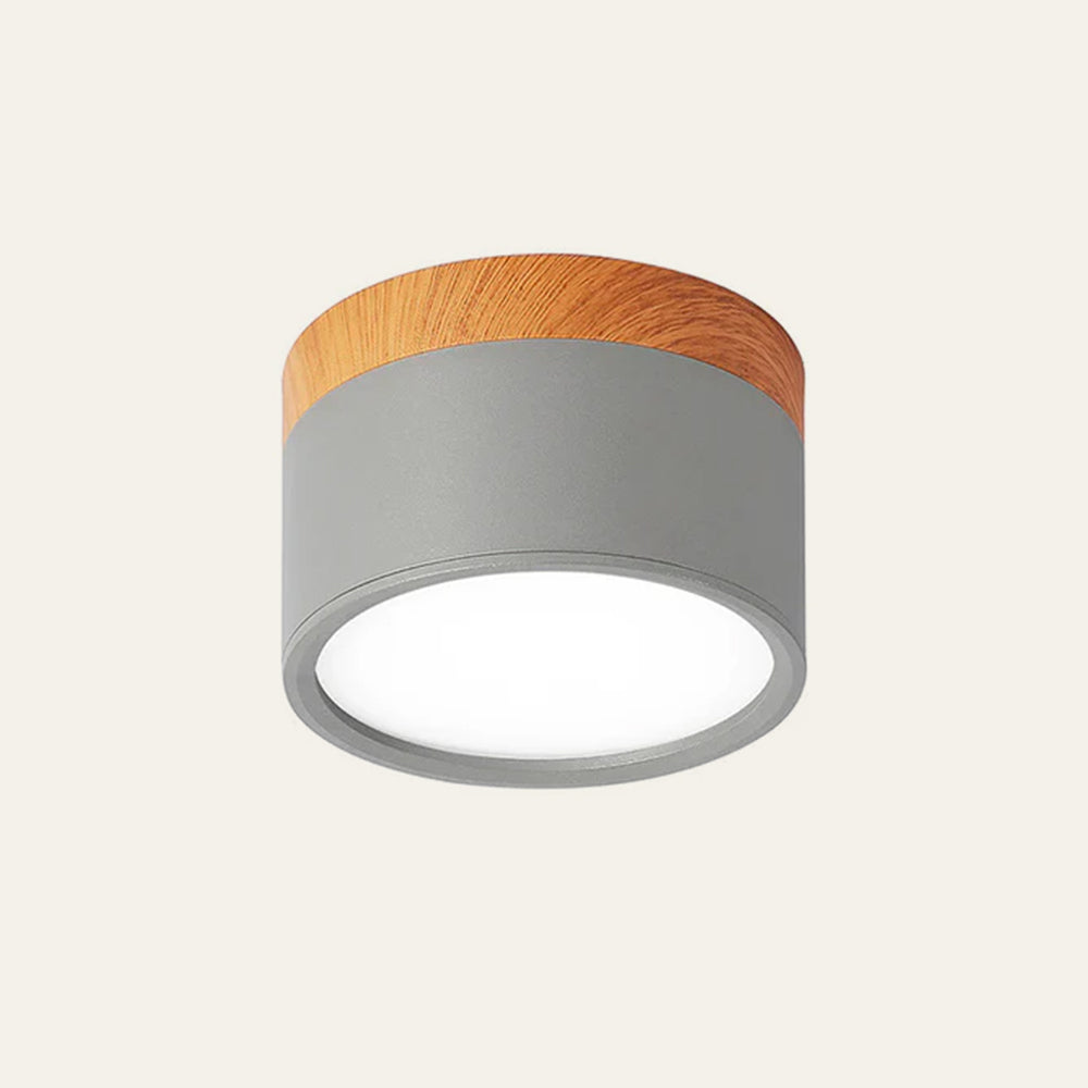 Casa Lumière Plafondlamp met Cilinderdesign - Helder Functioneel Licht