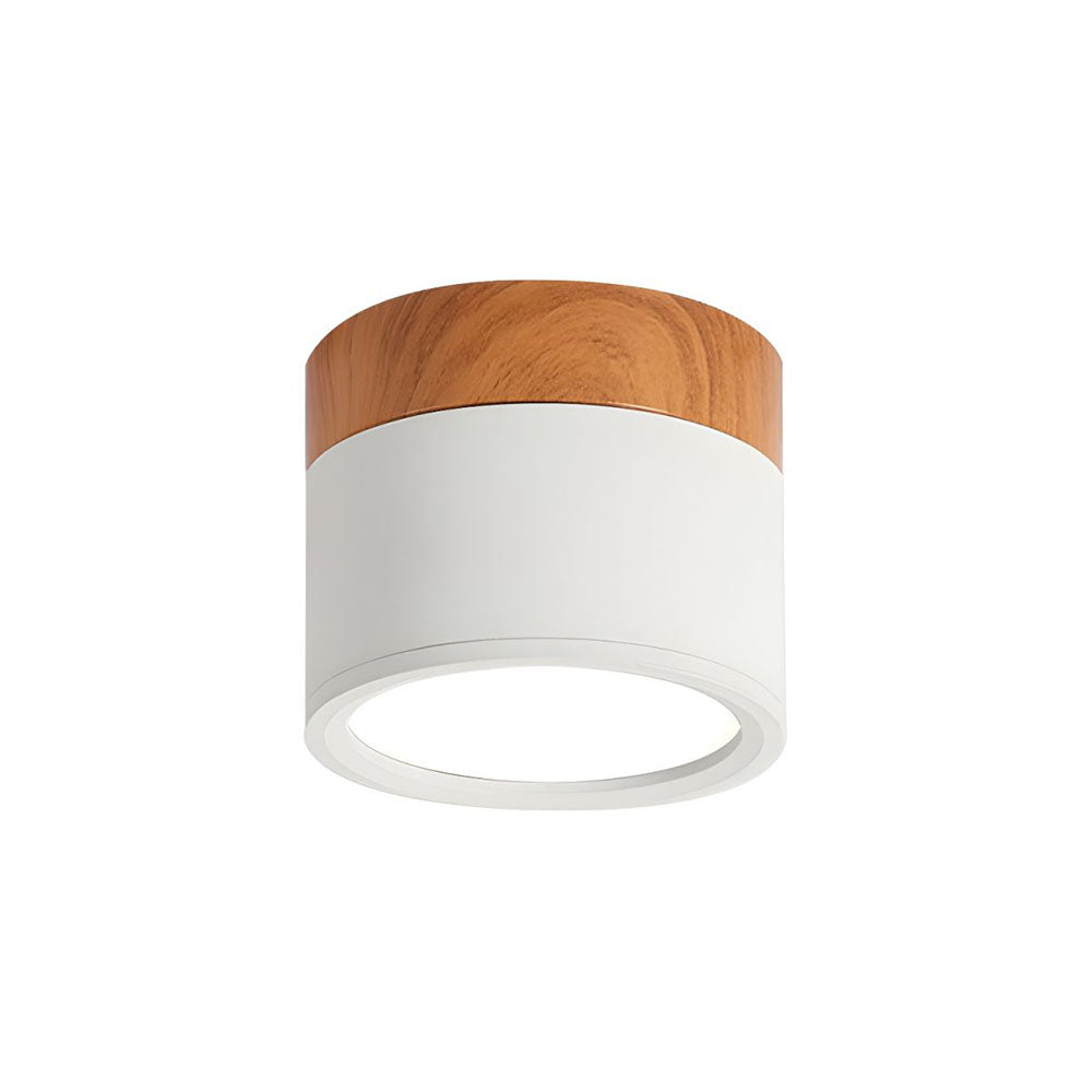 Casa Lumière Plafondlamp met Cilinderdesign - Helder Functioneel Licht