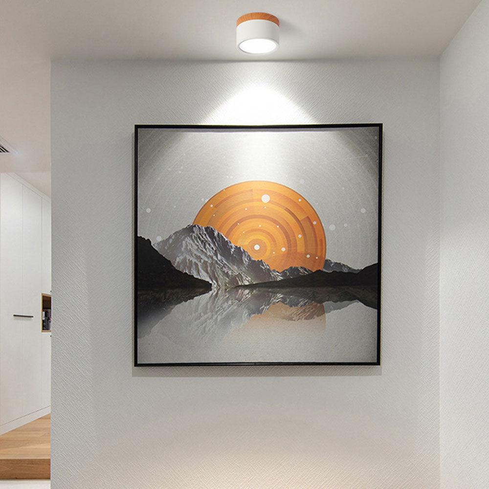Casa Lumière Plafondlamp met Cilinderdesign - Helder Functioneel Licht