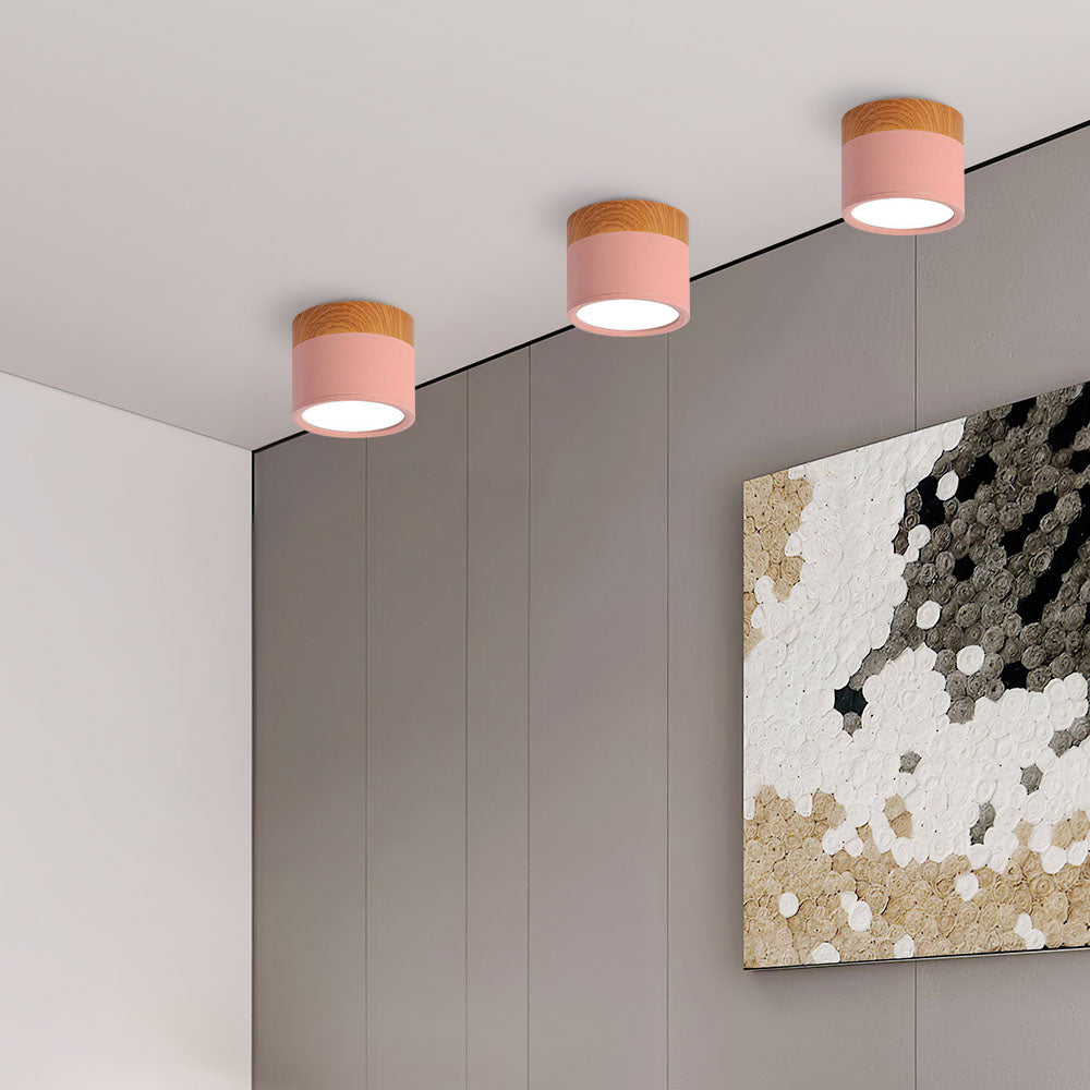 Casa Lumière Plafondlamp met Cilinderdesign - Helder Functioneel Licht