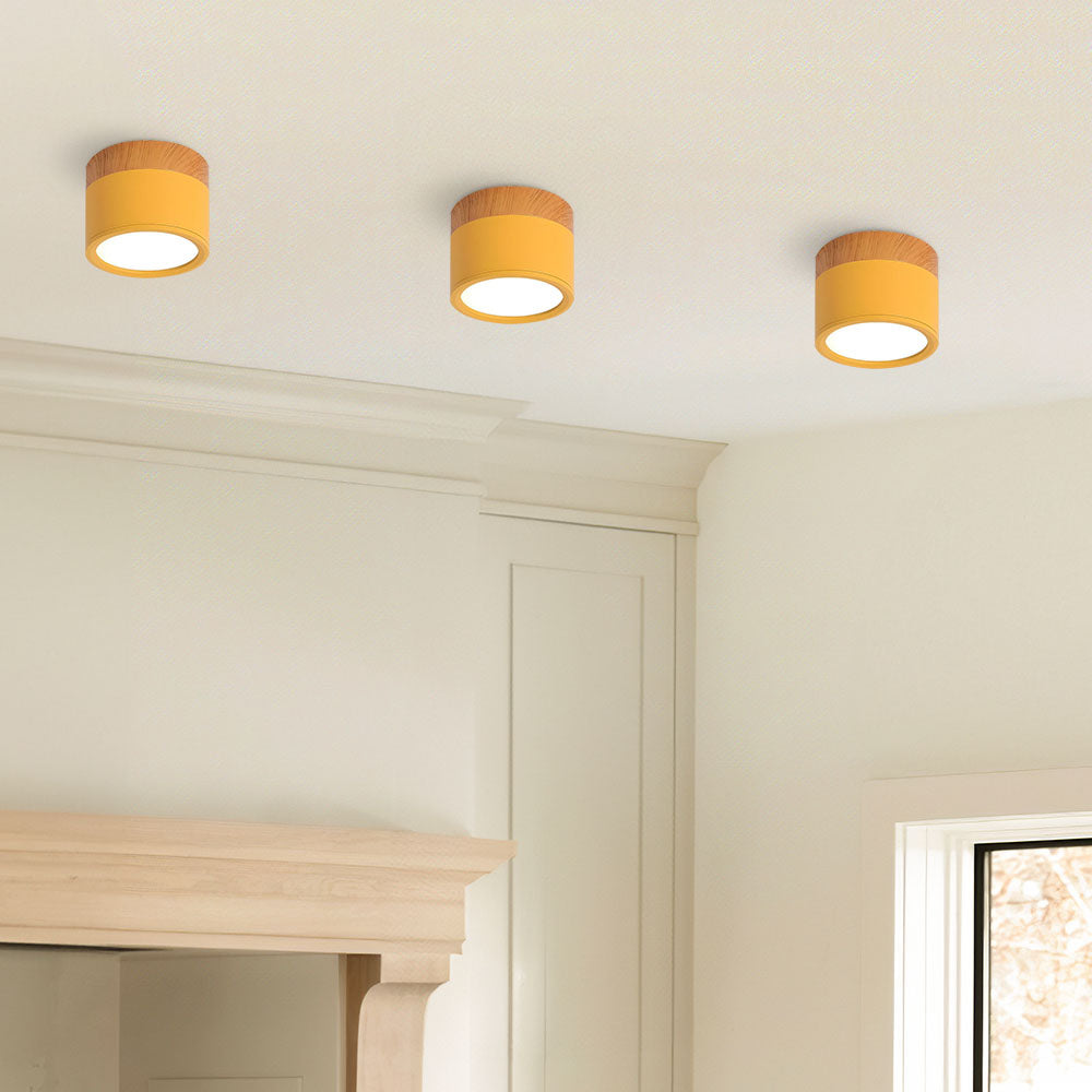 Casa Lumière Plafondlamp met Cilinderdesign - Helder Functioneel Licht