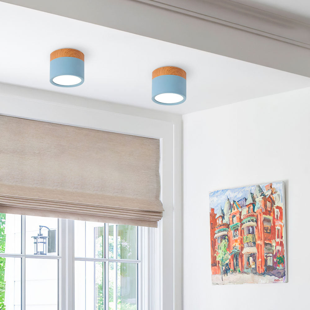 Casa Lumière Plafondlamp met Cilinderdesign - Helder Functioneel Licht