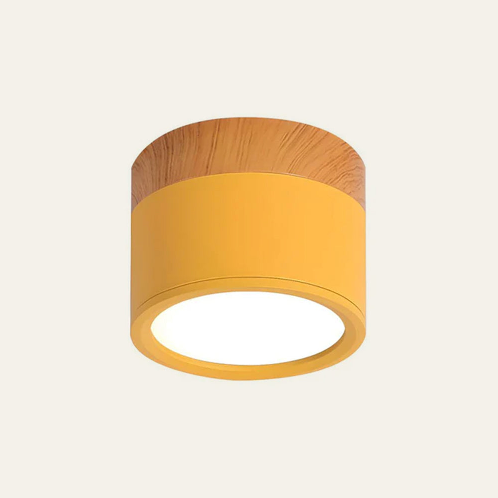 Casa Lumière Plafondlamp met Cilinderdesign - Helder Functioneel Licht