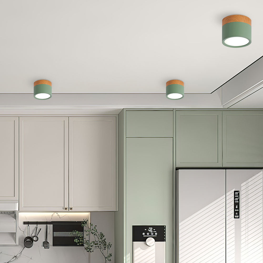Casa Lumière Plafondlamp met Cilinderdesign - Helder Functioneel Licht