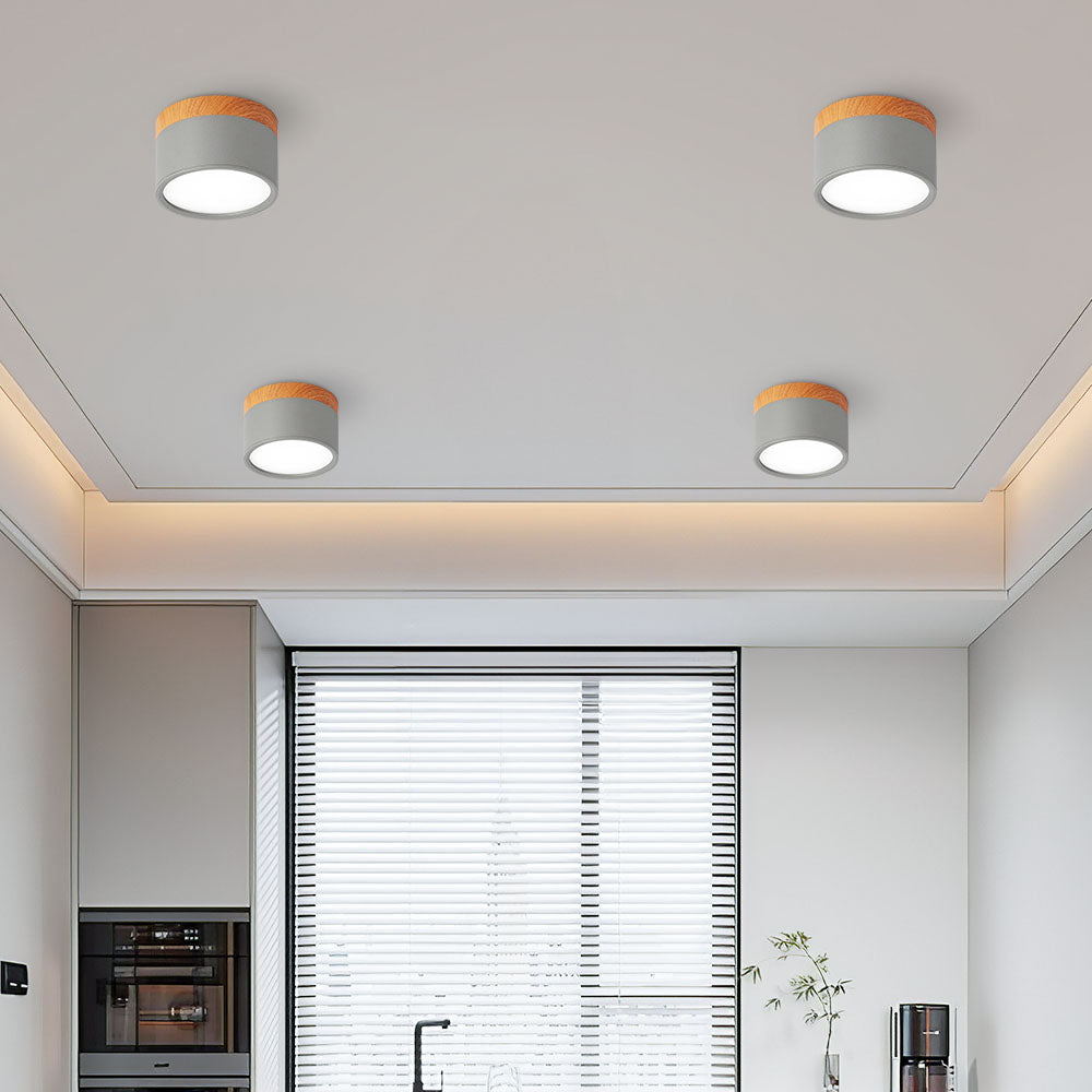 Casa Lumière Plafondlamp met Cilinderdesign - Helder Functioneel Licht