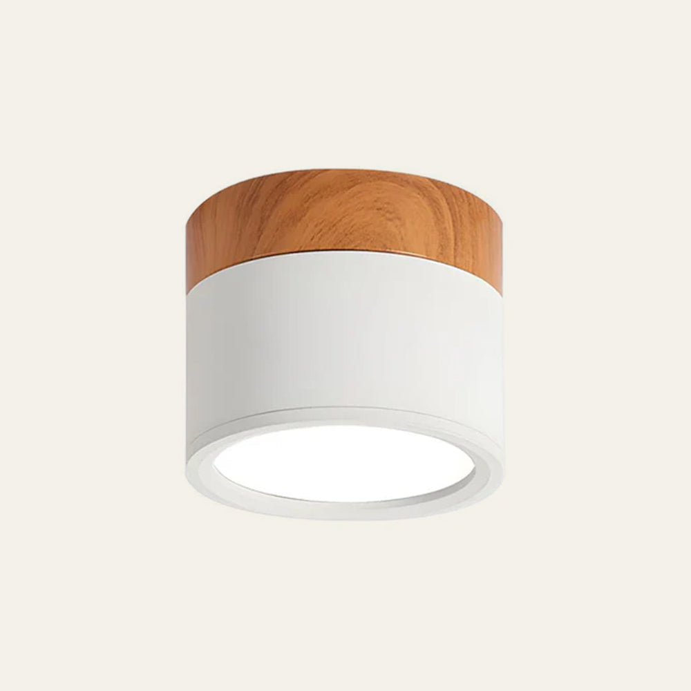 Casa Lumière Plafondlamp met Cilinderdesign - Helder Functioneel Licht