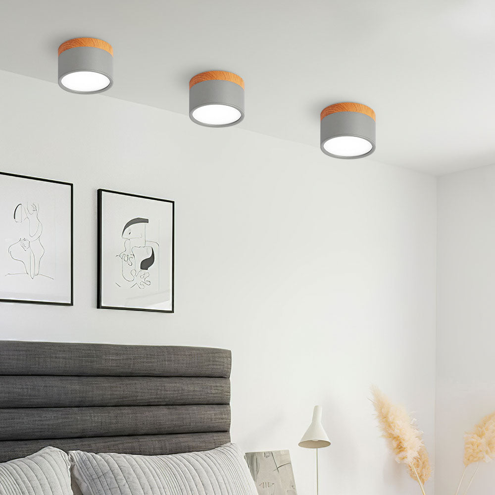 Casa Lumière Plafondlamp met Cilinderdesign - Helder Functioneel Licht