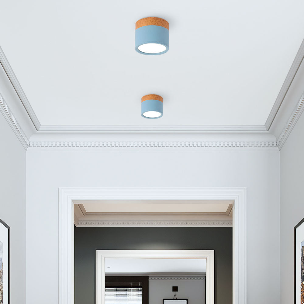 Casa Lumière Plafondlamp met Cilinderdesign - Helder Functioneel Licht