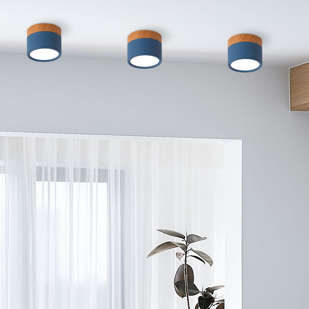 Casa Lumière Plafondlamp met Cilinderdesign - Helder Functioneel Licht