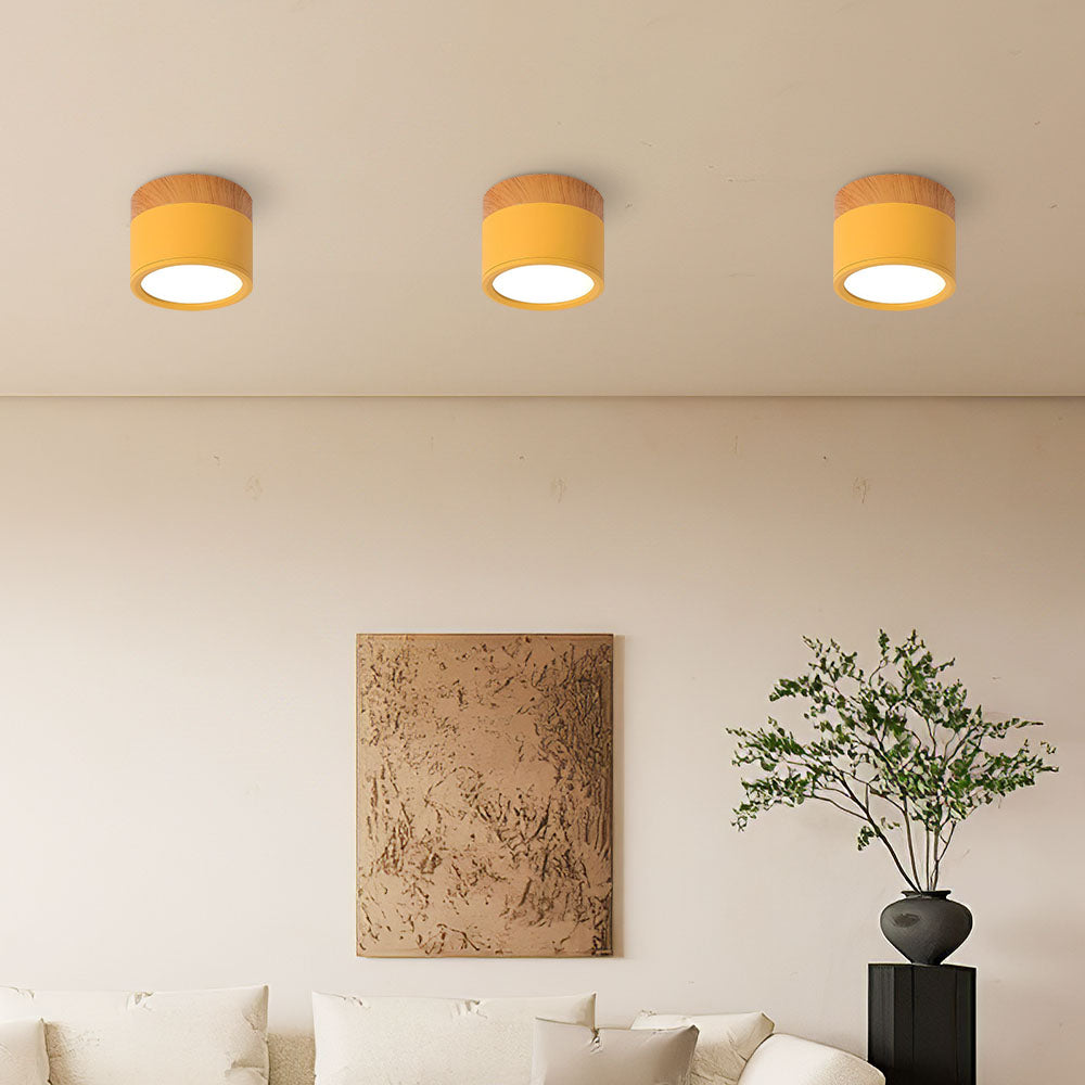 Casa Lumière Plafondlamp met Cilinderdesign - Helder Functioneel Licht