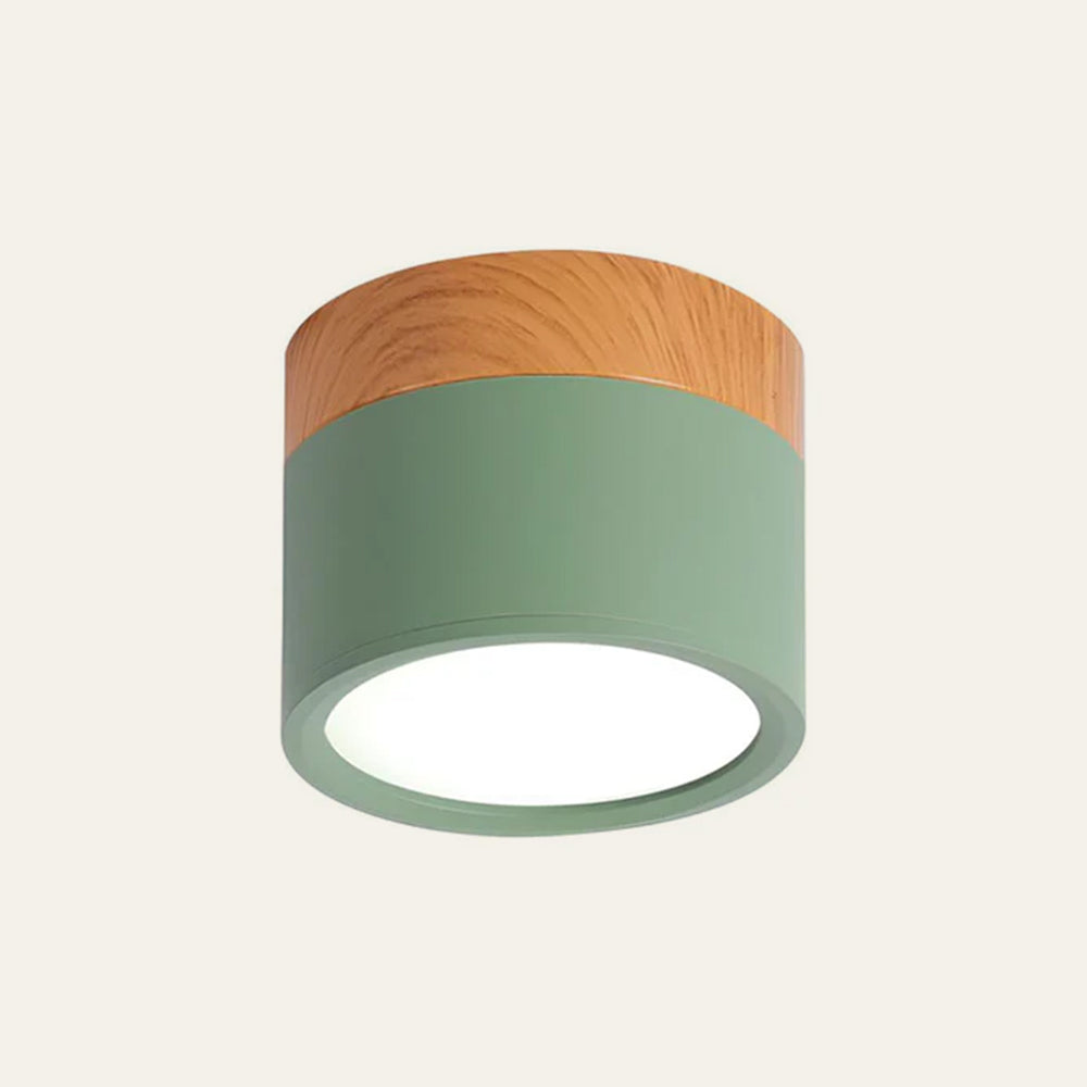 Casa Lumière Plafondlamp met Cilinderdesign - Helder Functioneel Licht