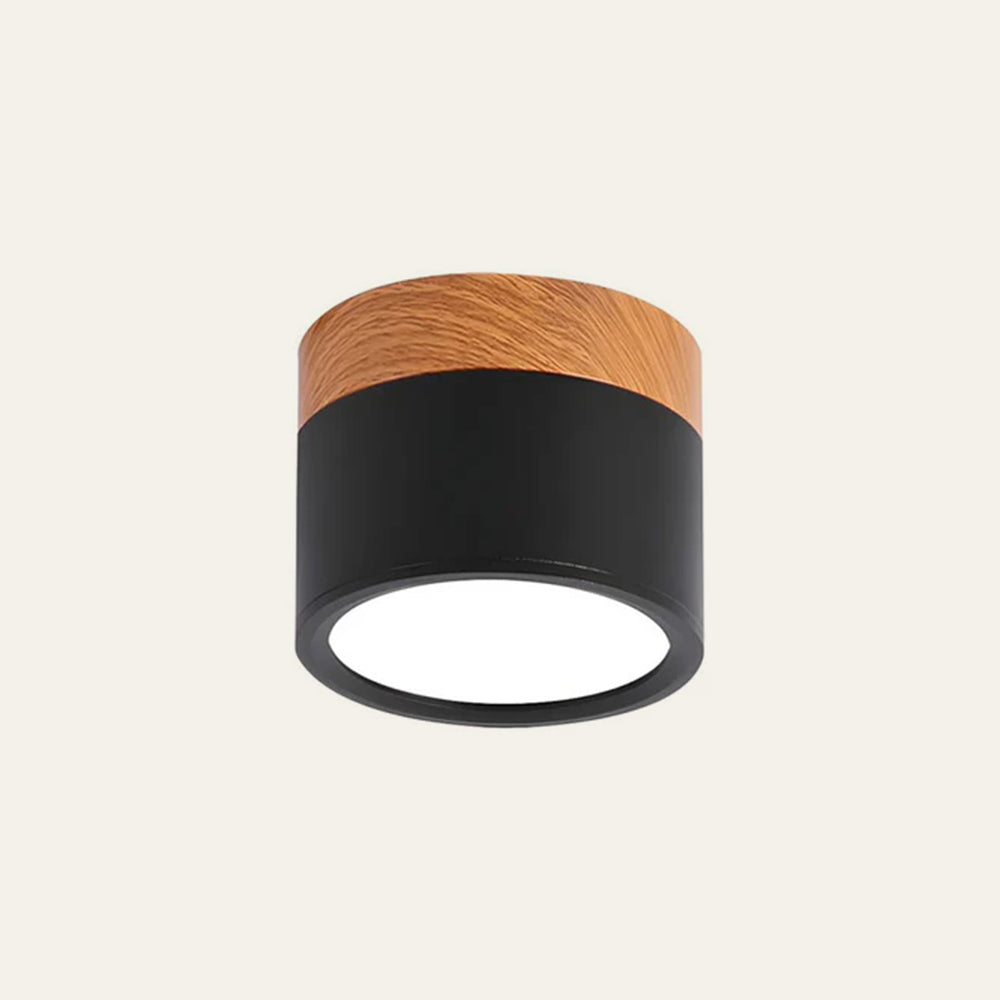 Casa Lumière Plafondlamp met Cilinderdesign - Helder Functioneel Licht