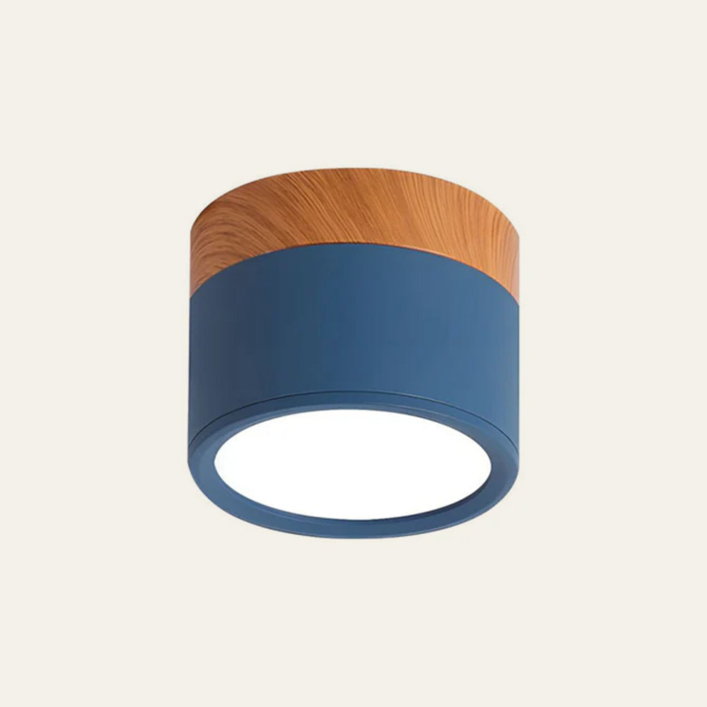 Casa Lumière Plafondlamp met Cilinderdesign - Helder Functioneel Licht