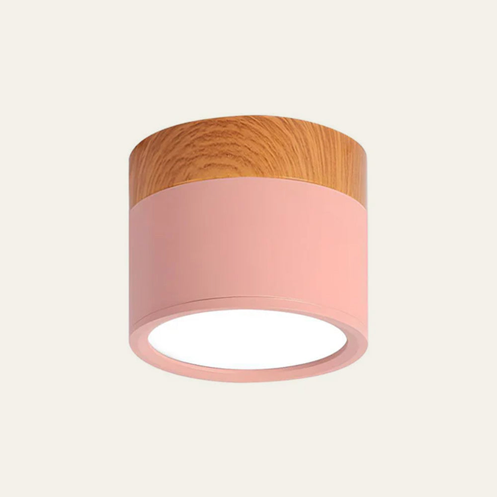Casa Lumière Plafondlamp met Cilinderdesign - Helder Functioneel Licht