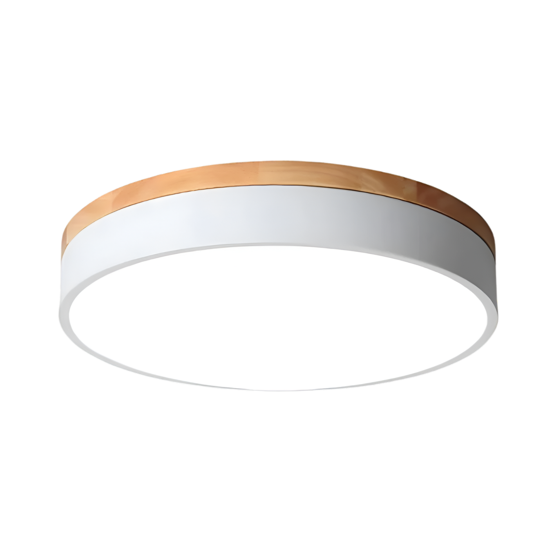 Casa Lumière Nordic Minimalistische LED Plafondlamp - Ronde Flush Mount met Acryl Design