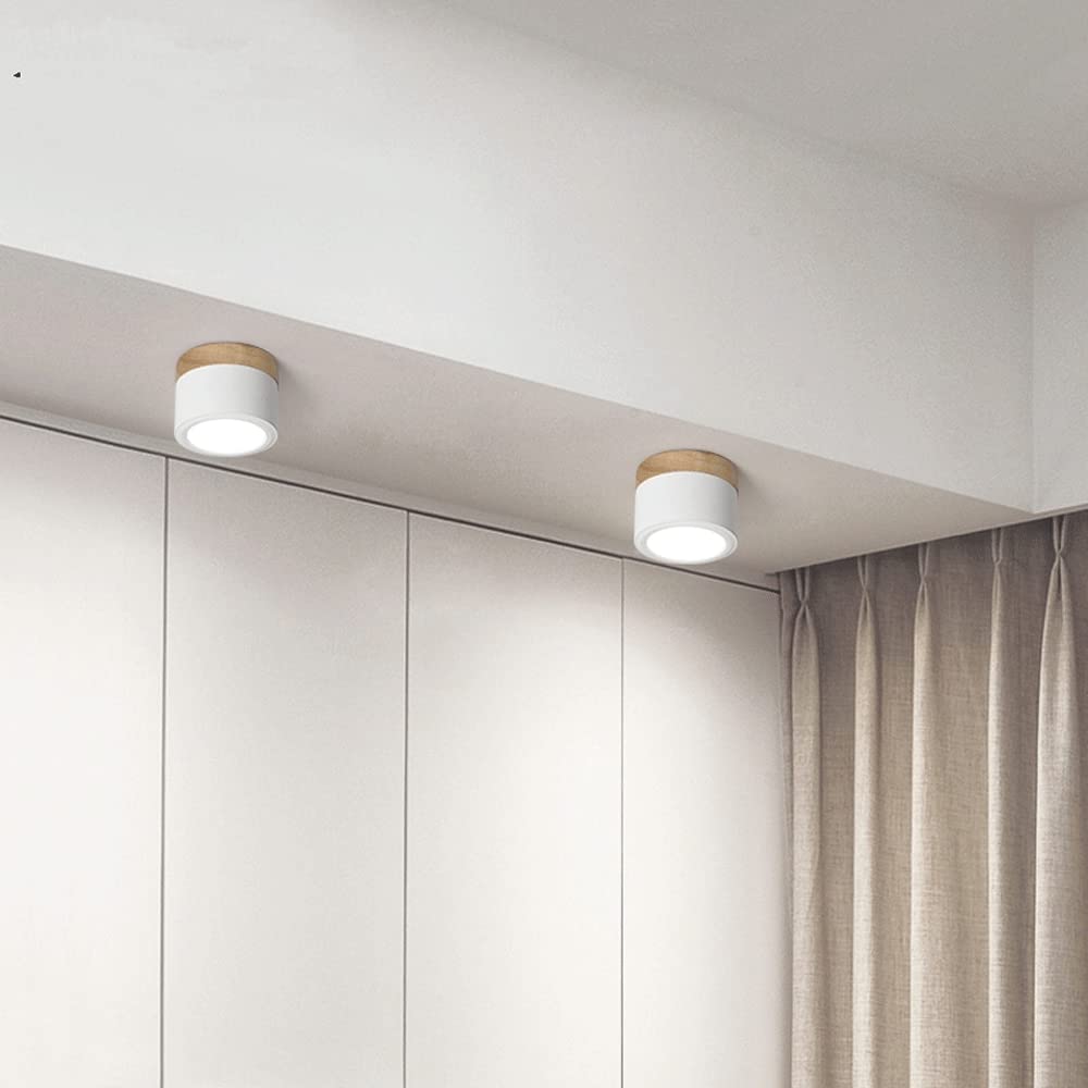 Casa Lumière Plafondlamp met Cilinderdesign - Helder Functioneel Licht