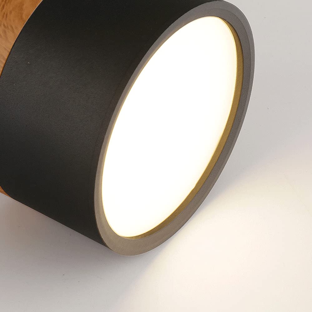 Casa Lumière Plafondlamp met Cilinderdesign - Helder Functioneel Licht